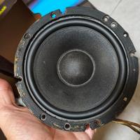 woofer 16 cono poli cell