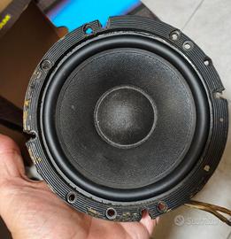 woofer 16 cono poli cell