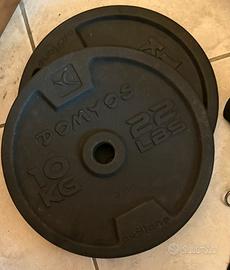 Dischi 10 kg