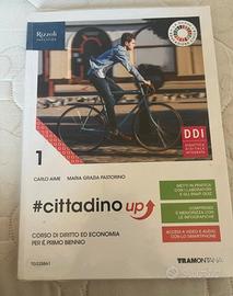 cittadino up diritto