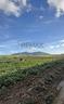 terreno-trapani