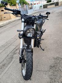 Benelli leoncino 500 trail