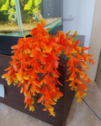 pianta per decorazioni  acquario 