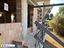 Immagine 16