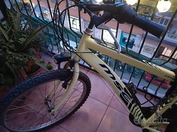 bicicletta per ragazzo