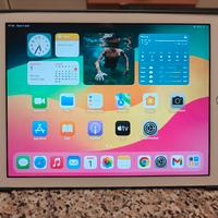 iPad (6ª Generazione) 128GB Wi-Fi + avcessori