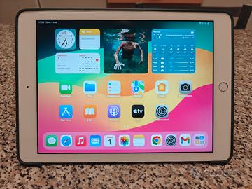 iPad (6ª Generazione) 128GB Wi-Fi + avcessori