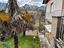 Immagine 26