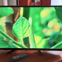 Televisore Arielli LED-32A114T2