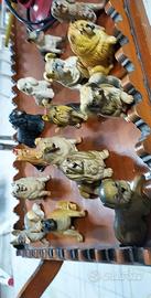 collezione di tutte le razze di cane 