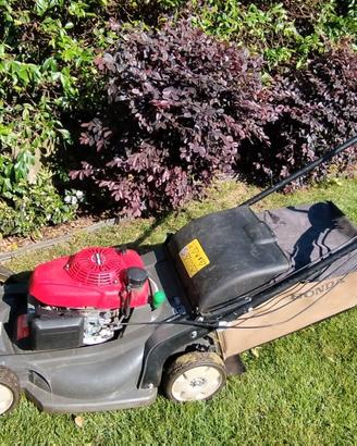 tagliaerba rasaerba professionale Honda hrx 537