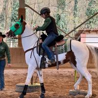 Cavalla Monta Western