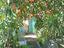 Immagine 28