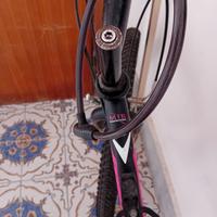 Mountain bike Casadei donna