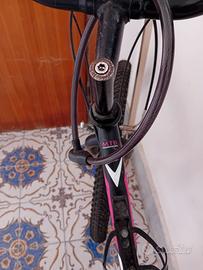 Mountain bike Casadei donna