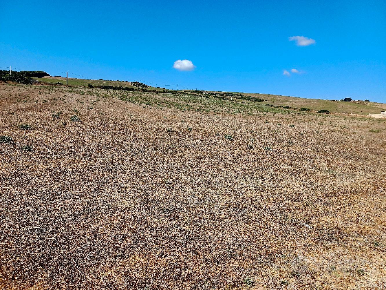 Terreno agricolo - Vista 2