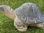 Immagine 23