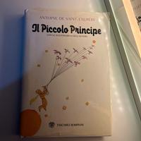 piccolo principe