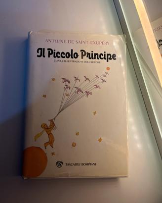 piccolo principe