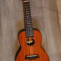 Ukulele concerto islander MSC4