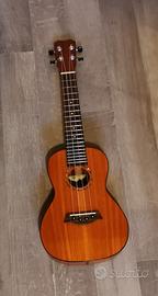 Ukulele concerto islander MSC4