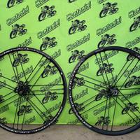 RUOTE CAMPAGNOLO SHAMAL ULTRA DISC USATE