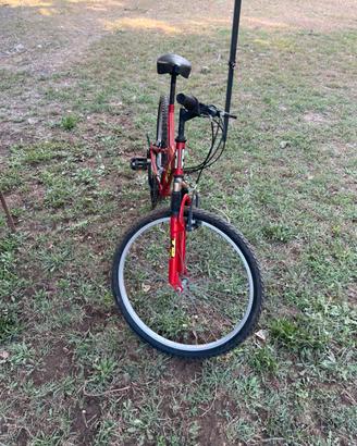 Bici MTB 26 rossa in buone condizioni