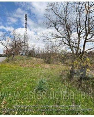 Terreno Agricolo Buccino [A4329597]