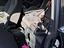 Immagine 6