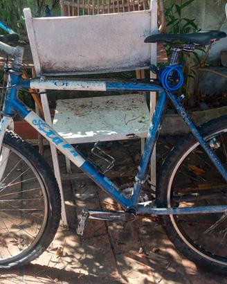 Atala MTB