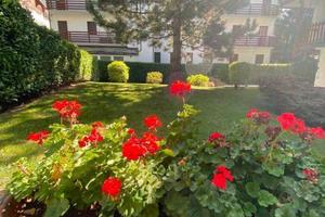 Appartamento di 113 m² con 3 locali e box auto a B