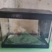 acquario 30 litri 