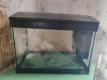 acquario 30 litri 