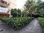 Immagine 20