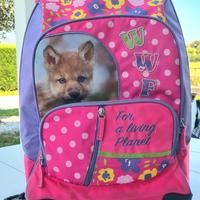 zaino trolley scuola elementare 