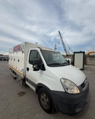 Iveco daily