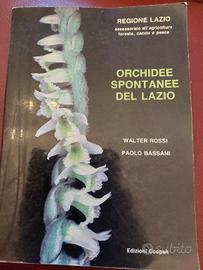orchidee