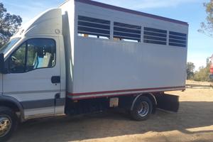 Daily trasporto animali