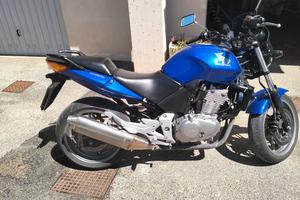 Honda CBF 500 Anno 2004