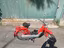 Immagine 4