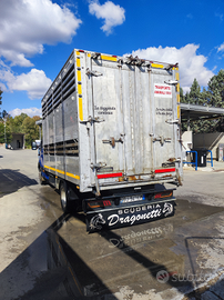 Daily 35 C13 trasporto animali