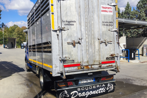 Daily 35 C13 trasporto animali