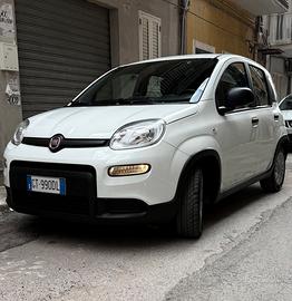 panda 1.0 firefly 70 cv s&s hybrid PREZ TRATTABIL