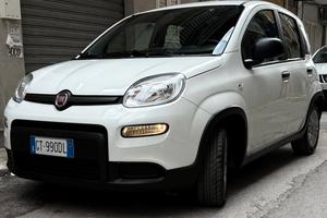 panda 1.0 firefly 70 cv s&s hybrid PREZ TRATTABIL