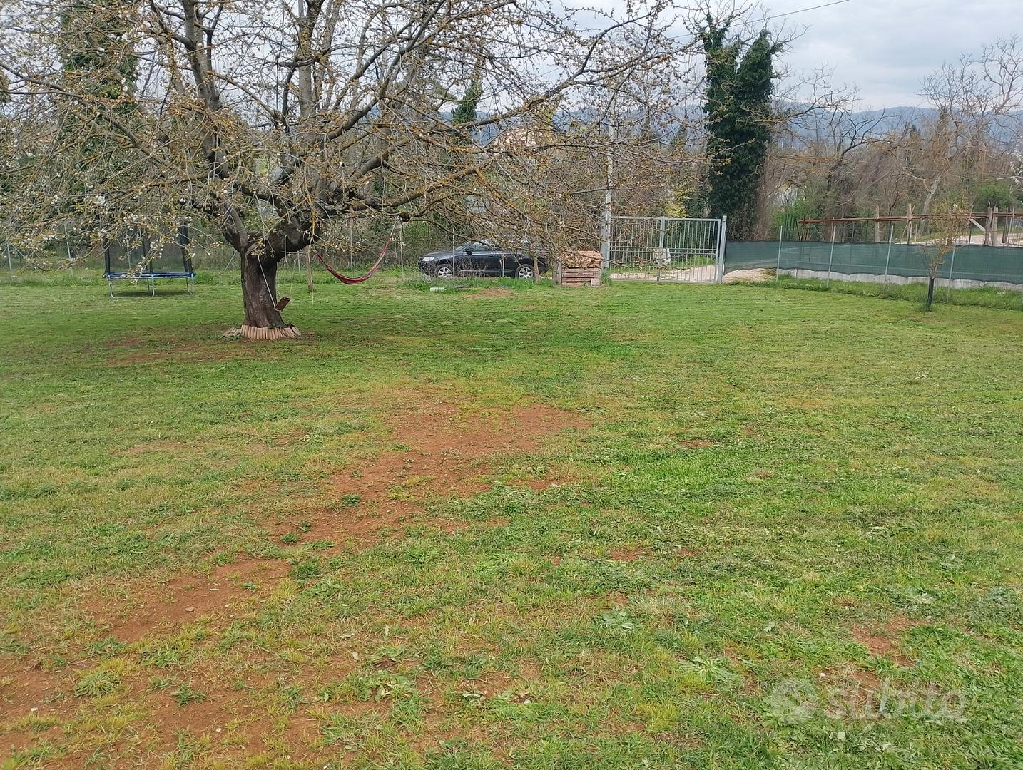 Ampio terreno - Ansicht 4