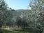 Immagine 7