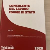 Esame consulente del lavoro tracce svolte 2024