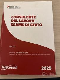 Esame consulente del lavoro tracce svolte 2024