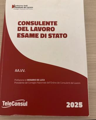 Esame consulente del lavoro tracce svolte 2024