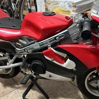 minimoto da pista